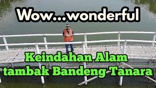 Subhanallah.!! Keindahan alam tambak bandeng Tanara Banten