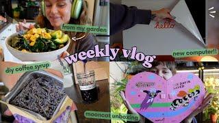 garden harvest begins, my new iMac arrived!, lavender syrup, unboxings, & more!!  ️