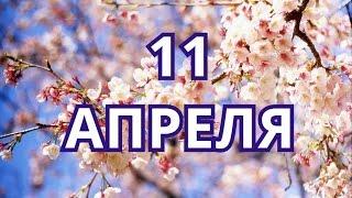 11 апреля Всемирный день анимешника и другие праздники