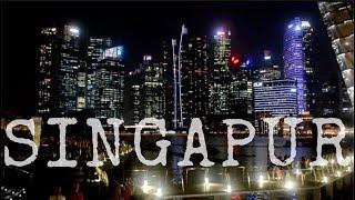 SINGAPUR IN 17 STUNDEN  I Singapur I Weltreisevlog #12