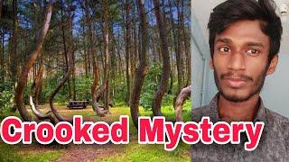 Crooked forest Mystery | Poland | Tamil | Annamalai srvn
