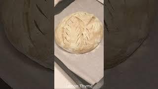 호밀빵 만들기 Rye Bread Making