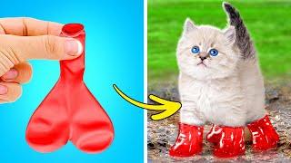 Cute Tiny Kitten  We Tested Viral Hacks And Gadgets