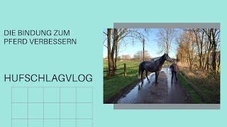 Die Bindung zum Pferd verbessern
