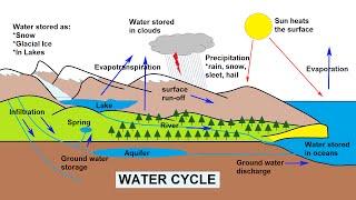 The Water Cycle Explained