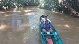 mahakam banjir lari ke anak sungai‼️