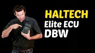 How Drive By Wire (DBW) Works with the Haltech Elite ECU