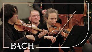 Bach - Et incarnatus est from Mass in B minor BWV 232 | Netherlands Bach Society