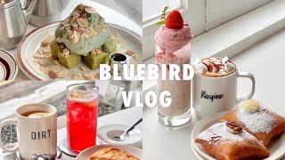 Vlog : 서촌나들이 | 서촌 맛집투어 | 꼭 가봤으면 하는곳,총 5곳 추천 | 얼스어스,밥플러스,레스피레,언껀,더트커피