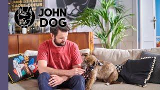 6 błędów, które popełniają właściciele psów lękliwych - TRENING PSA - John Dog