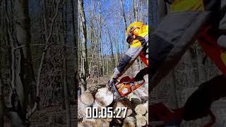 MS 261 vs. 550 MK2 | STIHL vs. Husqvarna #stihl #kettensäge #motorsäge #husqvarna