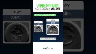 시험관아기시술 과정, 시간 순으로 배양 과정 까지?! #shorts