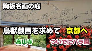 【京都　高山寺】鳥獣戯画を求めて　京都　陶板名画の庭　世界遺産　高山寺　ついでに京都府立植物園