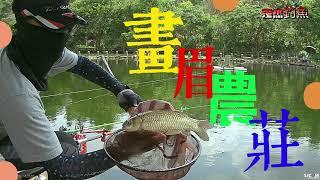 釣鯽魚 新竹 畫眉農莊 20230630
