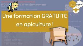 Une formation GRATUITE en apiculture  