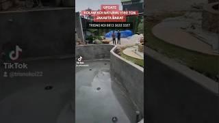 UPDATE PEKERJAAN KOLAM KOI NATURAL ±180 TON | JAKARTA BARAT