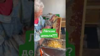 Гребем лопатой  #пасека #мёд #деревня #пчелы #мотивация #деньги #работа #пасекагатуповых