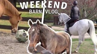 weekend barn vlog!! | riding, feeding etc.