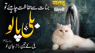 Jadu Sy Hifazat Ky Lye Belli Lazmi Palo | Billion Ky 3 Raaz | Baba Fareed Ki Billi | MuslimMattersTV