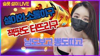 [슬롯 실시간] 설이tv  2월7일 2차전  잭팟주는 슬롯 추천받아요~  #슬롯 #슬롯실시간 #슬롯사이트 #슬롯생방송 #슬롯라이브 다시보기!