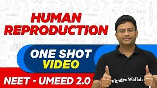 HUMAN REPRODUCTION in 1 Shot - All Theory & PYQs | NEET Crash Course | UMEED 2.0