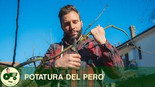 La POTATURA del PERO - Il contadino Nick