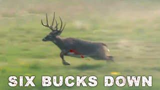 Hunters Shoot Six HUGE BUCKS One After the Other