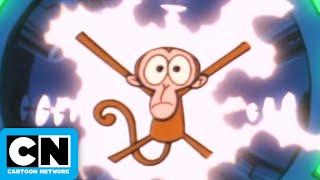 Theme Song | Dial M for Monkey | Cartoon Network
