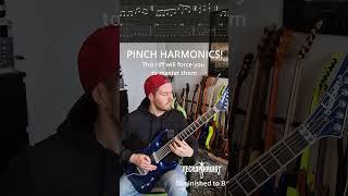 Pinch harmonics! (Necrophagist)