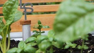 LifeSpace Gardens - Selfwatering for easy vegetable growing