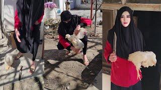 women butcher chicken/ Nahila 4th vlog