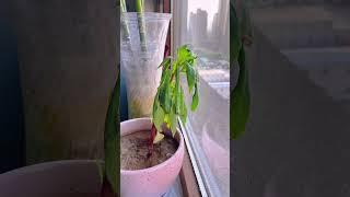 🪄 Beginner-Friendly Post Production Tested 