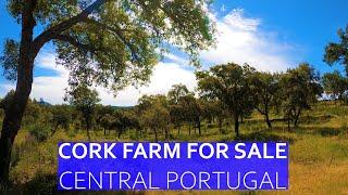 CORK FARM WITH SLATE RUIN FOR SALE - CENTRAL PORTUGAL CHEAP PROPERTY