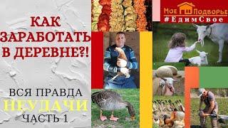 Как заработать в деревне. Итоги первого года жизни. Неудачи. Часть 1. "Мое Подворье"