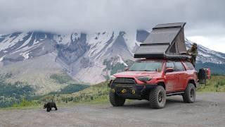 Solo 4Runner Camping in Bear Territory • Wildest Thing I've Experienced (ASMR 4K)