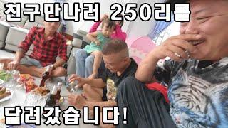 한국인친구가 보고싶어서 250리길을 한달음에 달려간호랑이 (kiengiangtv)