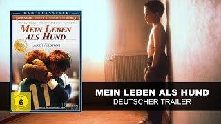 Mein Leben als Hund (Deutscher Trailer) | Lasse Halström| HD | KSM