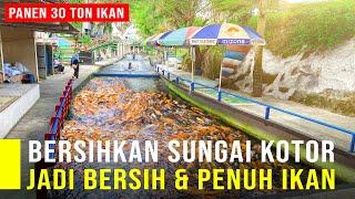 Rogoh Uang Pribadi 3 Miliar Untuk Bersihkan Sungai Penuh Sampah Jadi Indah dan Panen Ikan 30 Ton