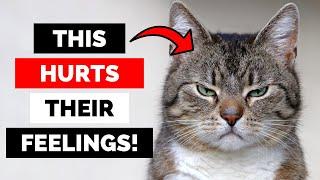 Are You RUINING Your Cat’s Life? 22 Mistakes to Avoid!