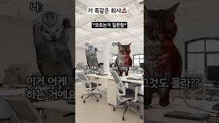 가족같은회사  #shorts #고양이 #해피캣 #cat #회사 #연애 #고양이밈 #텃세 #데이트 #남친 #여자친구