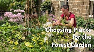 Choosing Plants for the Forest Garden: a Masterclass with Pippa Chapman