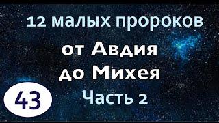 Бибельтренинг 43 | 12 малых пророков | Часть 2 | От Авдия до Михея