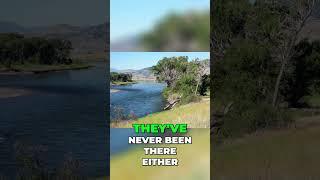 Oregon Trail Adventure: Epic Journey West!