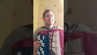 Какая свадьба без баяна 🪗
