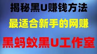 。网络赚钱|毫无风险，2024最新灰产项目|，黑U洗白教程|2024最新灰产项目|#黑U洗白|#新手赚钱项目。#黑U搬砖原理。#黑usdt出售，#被動收入。#交易所|#网络赚钱