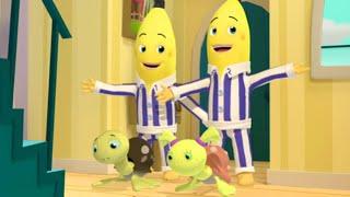 The Bananas Adopt Turtles! | Bananas in Pyjamas Season 1 | Full Episodes | Bananas in Pyjamas