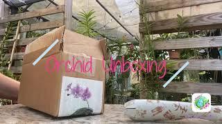 Orchid unboxing #shorts