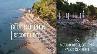 Blue Dolphin Hotel 4* Metamorfosi, Sithonia, Halkidiki, Grecia