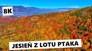 Jesień w polskich górach z lotu ptaka [8K]