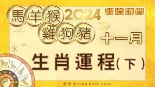 2024年11月運勢 十二生肖 運程預測（下） | 每個生肖也有特別注意事項記得看完 | 馬羊猴雞狗豬生肖 運程 | 事業  愛情 財運 預測 | 2024增運 運勢